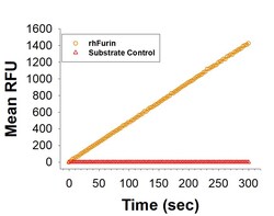 R&D Systems&trade;&nbsp;Recombinant Human Furin His-tag Protein
