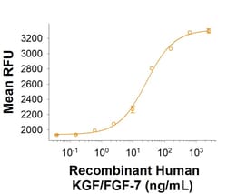 R D Systems Recombinant Human KGF/FGF-7 Protein 500 &mu;g | Buy Online | R&amp;D Systems&trade; | Fisher Scientific