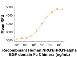 R D Systems Recombinant Human NRG1/HRG1-alpha EGF domain Fc Protein 500 &mu;g | Buy Online | R&amp;D Systems&trade; | Fisher Scientific