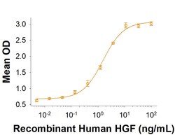 R D Systems Recombinant Human HGF (NS0 Expressed) Protein 100 &mu;g | Buy Online | R&amp;D Systems&trade; | Fisher Scientific