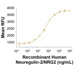 R D Systems Recombinant Human Neuregulin-2/NRG2 Fc Chimera Protein 100 &mu;g | Buy Online | R&amp;D Systems&trade; | Fisher Scientific