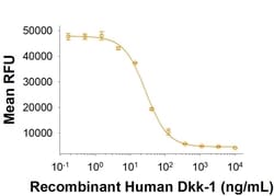 R D Systems Recombinant Human Dkk-1 Protein, CF 1 mg | Buy Online | R&amp;D Systems&trade; | Fisher Scientific
