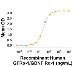 R&D Systems&trade;&nbsp;Recombinant Human GFR alpha-1/GDNF R alpha-1 Fc Protein, CF