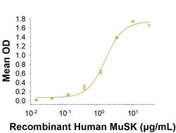 R&D Systems&trade;&nbsp;Recombinant Human MuSK His-tag Protein, CF
