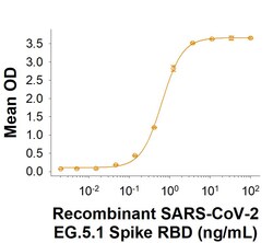 R&D Systems&trade;&nbsp;Recombinant SARS-CoV-2 EG.5.1 Spike RBD His-tag Protein, CF