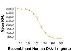 R DSystems Recombinant Human Dkk-1 Protein, CF 50 &mu;g | Buy Online | R&amp;DSystems&trade; | Fisher Scientific
