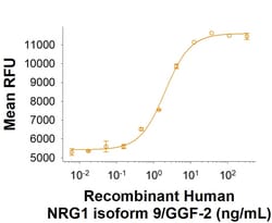 R&DSystems&trade;&nbsp;Recombinant Human NRG1 isoform 9/GGF-2 Protein, CF