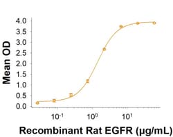 R&DSystems&trade;&nbsp;Recombinant Rat EGFR His-tag Protein, CF