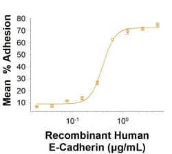 R&DSystems&trade;&nbsp;Recombinant Human E-Cadherin Fc Chimera Protein, CF