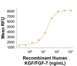 R DSystems Recombinant Human KGF/FGF-7 Protein, CF 500 &mu;g | Buy Online | R&amp;DSystems&trade; | Fisher Scientific