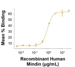 R&DSystems&trade;&nbsp;Recombinant Human Mindin His-tag Protein, CF