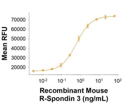 R DSystems Recombinant Mouse R-Spondin 3 mFc Protein, CF 10 &mu;g | Buy Online | R&amp;DSystems&trade; | Fisher Scientific