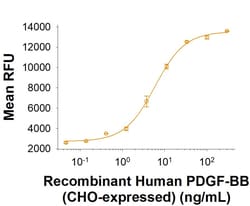 R DSystems Recombinant Human PDGF-BB (CHO-expressed) Protein, CF 50 &mu;g | Buy Online | R&amp;DSystems&trade; | Fisher Scientific