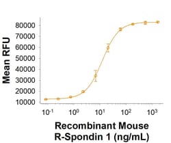 R D Systems Recombinant Mouse R-Spondin 1 Fc Chimera Protein, CF 1 mg | Buy Online | R&amp;D Systems&trade; | Fisher Scientific