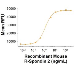 R D Systems Recombinant Mouse R-Spondin 2 Fc Chimera Protein, CF 100 &mu;g | Buy Online | R&amp;D Systems&trade; | Fisher Scientific