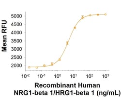 R&D Systems™ Recombinant Human NRG1-beta 1/HRG1-beta 1 Fc Protein, CF