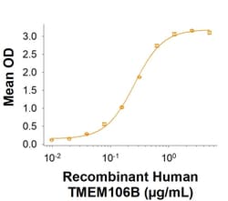 R&D Systems&trade;&nbsp;Recombinant Human TMEM106B Fc Chimera Protein, CF