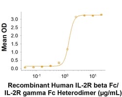 R&D Systems&trade;&nbsp;Recombinant Human IL-2R beta Fc/IL-2R gamma Fc Protein, CF