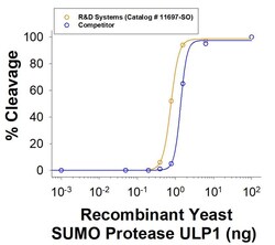 R D Systems Recombinant S. cerevisiae SUMO Protease ULP1 His Protein, CF 50 &mu;g | Buy Online | R&amp;D Systems&trade; | Fisher Scientific