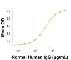 R&D Systems&trade;&nbsp;Recombinant Human FCRL3/FcRH3 His-tag Protein, CF