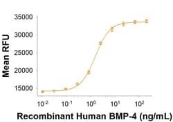 R D Systems Recombinant Human BMP-4 Protein, CF 20 &mu;g | Buy Online | R&amp;D Systems&trade; | Fisher Scientific