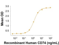 R D Systems Recombinant Human CD74 Protein, CF 50 &mu;g | Buy Online | R&amp;D Systems&trade; | Fisher Scientific