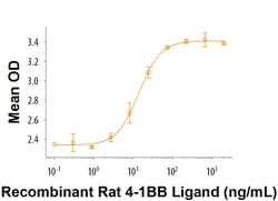 R D Systems Recombinant Rat 4-1BB Ligand/TNFSF9 Protein Lyophilized from a 0.2 &mu;m filtered solution in PBS with BSA as a carrier protein. | Buy Online | R&amp;D Systems&trade; | Fisher Scientific