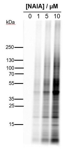Tocris BioScience NAIA 5 mg | Buy Online | Tocris BioScience&trade; | Fisher Scientific