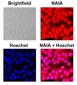 Tocris BioScience NAIA 5 mg | Buy Online | Tocris BioScience&trade; | Fisher Scientific