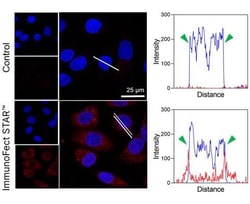 Tocris Bioscience&trade;&nbsp;ImmunoFect STAR&trade; Antibody Transfection Reagent