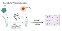 Tocris Bioscience&trade;&nbsp;BromoCatch&trade; Ligand, Alkyne