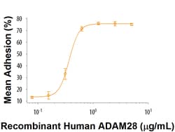 R&D Systems&trade;&nbsp;Recombinant Human ADAM28 Protein
