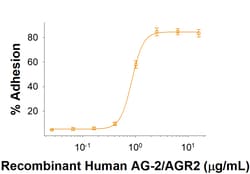 R&D Systems&trade;&nbsp;Recombinant Human AG-2/AGR2 His-tag Protein