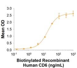 R&D Systems&trade;&nbsp;Recombinant Cynomolgus Monkey ALCAM His-tag Protein