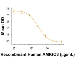 R&D Systems&trade;&nbsp;Recombinant Human AMIGO3 Fc Chimera Protein