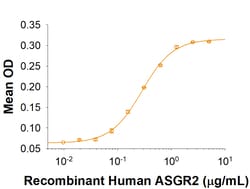 R&D Systems&trade;&nbsp;Recombinant Human ASGR2/ASGPR2 Fc Chimera Protein