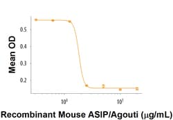 R D Systems Recombinant Mouse ASIP/Agouti Protein 50 &mu;g | Buy Online | R&amp;D Systems&trade; | Fisher Scientific