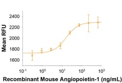 R&D Systems&trade;&nbsp;Recombinant Mouse Angiopoietin-1 Protein