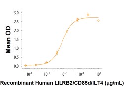 R&D Systems&trade;&nbsp;Recombinant Human Angiopoietin-like Protein 2/ANGPTL2
