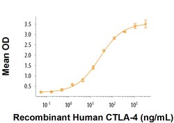 R&D Systems&trade;&nbsp;Recombinant Human B7-2/CD86 His Tag Protein