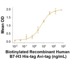 R&D Systems&trade;&nbsp;Recombinant Human B7-H3 His-tag Avi-tag Protein