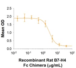 R D Systems Recombinant Rat B7-H4 Fc Chimera Protein 50 &mu;g | Buy Online | R&amp;D Systems&trade; | Fisher Scientific