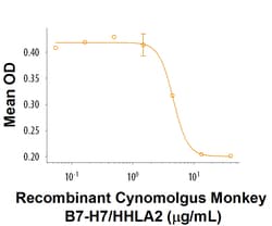 R D Systems Recombinant Cynomolgus B7-H7/HHLA2 Fc Chimera Protein 50 &mu;g | Buy Online | R&amp;D Systems&trade; | Fisher Scientific