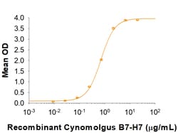 R&D Systems&trade;&nbsp;Recombinant Cynomolgus B7-H7/HHLA2 His-tag Protein