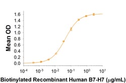 R&D Systems™ Recombinant Human B7-H7 Fc Biotinylated Protein