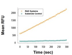 R&D Systems&trade;&nbsp;Recombinant Human BCAT1 Protein