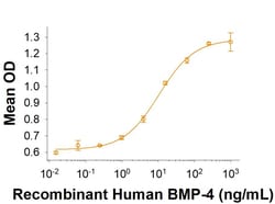 R D Systems Recombinant Human BMP-4 (E. coli-expressed) Protein 10 &mu;g | Buy Online | R&amp;D Systems&trade; | Fisher Scientific