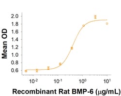 R D Systems Recombinant Rat BMP-6 Protein 20 &mu;g | Buy Online | R&amp;D Systems&trade; | Fisher Scientific