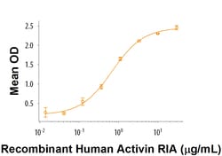 R D Systems Recombinant Human BMP-7 Biotinylated Protein Lyophilized from a 0.2&mu;m filtered solution in HCl with BSA as a carrier protein. | Buy Online | R&amp;D Systems&trade; | Fisher Scientific