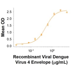 R D Systems Recombinant Human BST-2/Tetherin Protein 50 &mu;g | Buy Online | R&amp;D Systems&trade; | Fisher Scientific